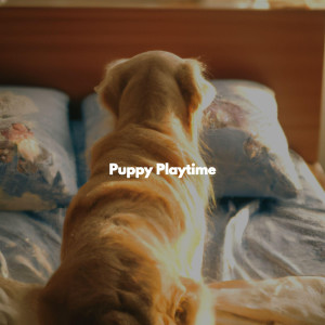 Puppy Playtime