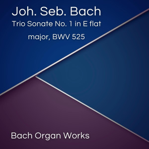 อัลบัม Trio Sonate No. 1 in E flat major, BWV 525 ศิลปิน Johann Sebastian Bach