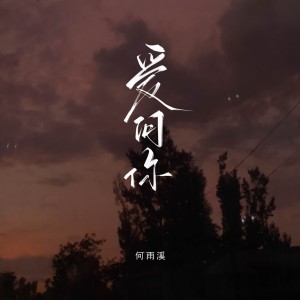 Album 爱问你 from 何雨溪