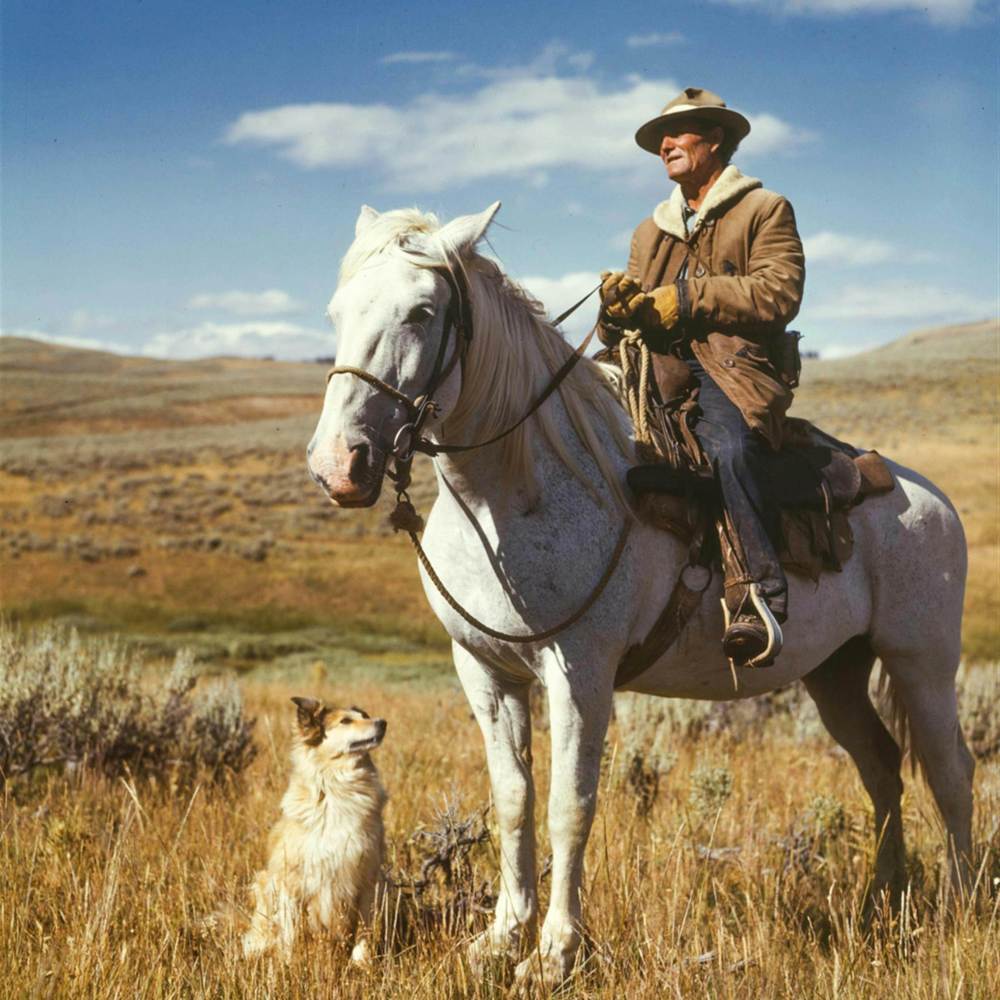 Cowboys Work Is Never Done