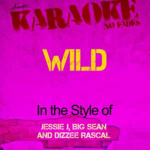 Ameritz - Karaoke的專輯Wild (In the Style Jessie J, Big Sean and Dizzee Rascal) [Karaoke Version] - Single
