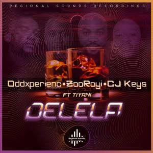 อัลบัม Delela (feat. Tiyani) ศิลปิน CJ Keys