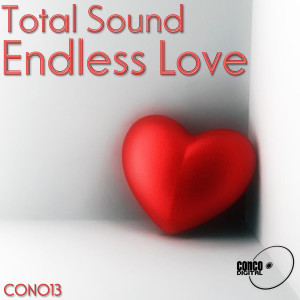 ดาวน์โหลดและฟังเพลง Endless Love (Greg Nocca Remix) (Explicit) (Greg Nocca Remix|Explicit) พร้อมเนื้อเพลงจาก Total Sound