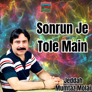 Album Sonrun Je Tole Main from Mumtaz Molai