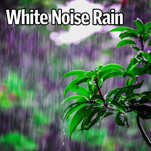 Listen to White Noise Rain song with lyrics from Perfect White Noise