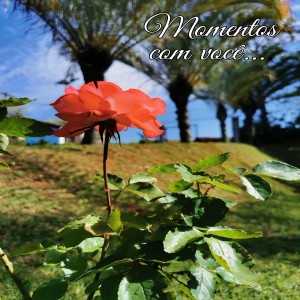 收聽Digione的momentos com você歌詞歌曲