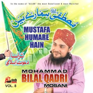 Mohammad Bilal Qadri Mosani的專輯Mustafa Humare Hain Vol. 8 - Islamic Naats