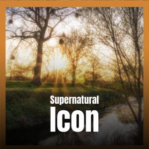 Album Supernatural Icon from Various