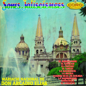 收聽Mariachi Nacional De Don Arcadio Elias的La Madrugada歌詞歌曲