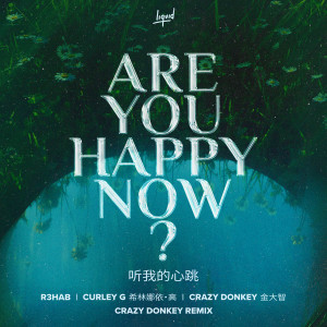 希林娜依高的專輯Are You Happy Now (Crazy Donkey Remix)