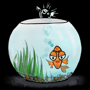 Album Fish Bowl from Bare Jams