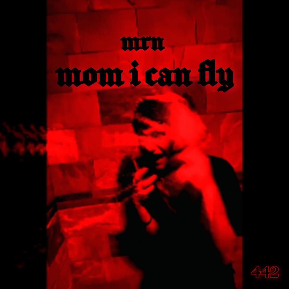 Mom I Can Fly