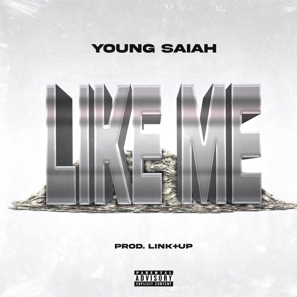 Like Me (Explicit)