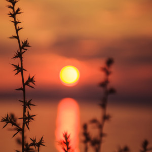 Listen to Perfect Harmony song with lyrics from Deep Sleep