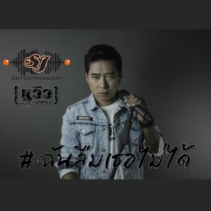 อัลบัม ฉันลืมเธอไม่ได้ - Single ศิลปิน หวิว