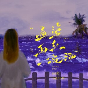 赵薇薇的专辑孟婆再来一碗汤（治愈女生版）