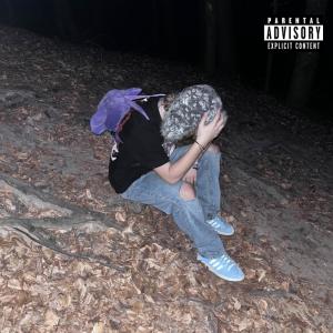 收聽ZILER的NIE CZUJĘ (feat. tenshixgod) (Explicit)歌詞歌曲