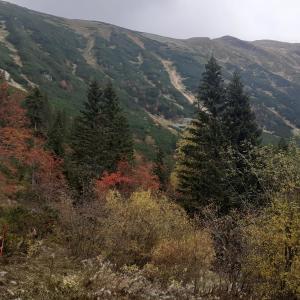 Album Road To Mountains from Jazz Café Bar