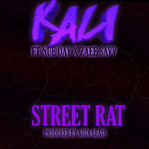 ดาวน์โหลดและฟังเพลง Street Rat (Explicit) พร้อมเนื้อเพลงจาก Kali Deeps