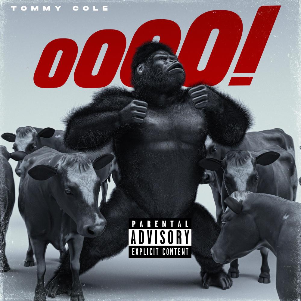 Pyrex Whippa (Explicit)