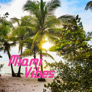 Album Miami vibes oleh Denis Vuk