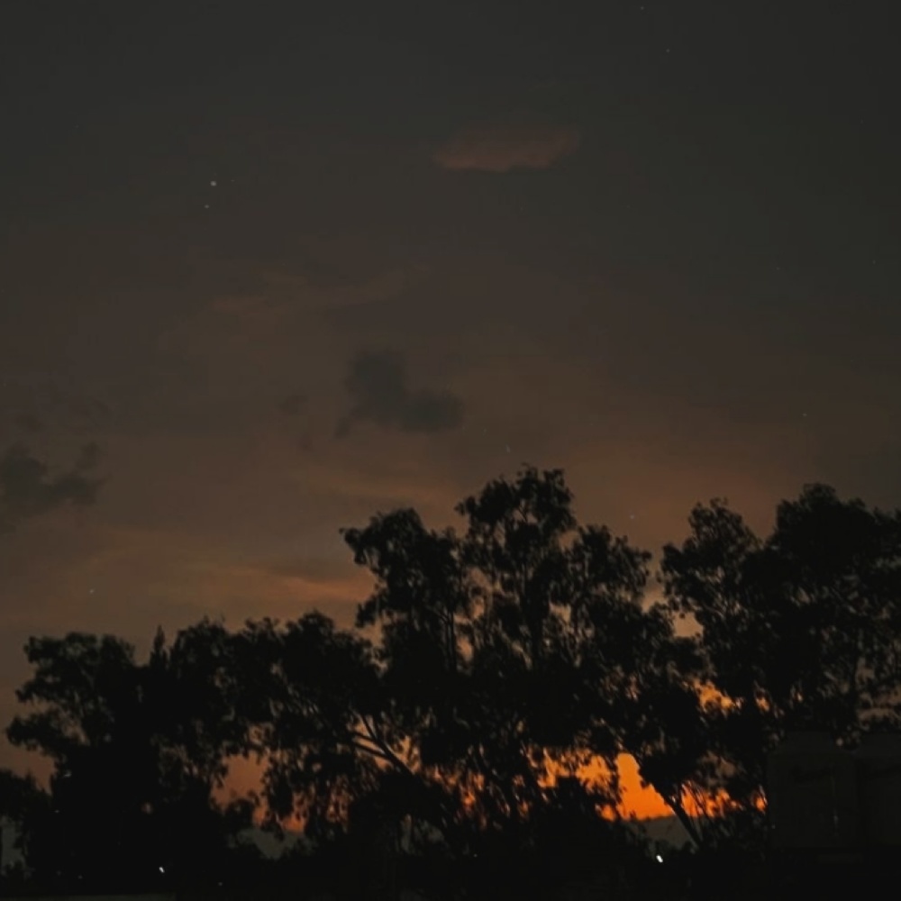 Hasta el Cielo