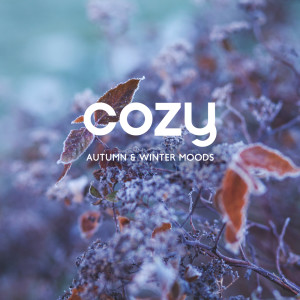 Cozy Autumn & Winter Moods (Melancholy Sentimental Piano and Emotions-Instrumental) dari Emotional Piano!