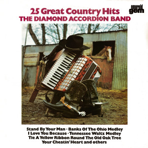 ดาวน์โหลดและฟังเพลง Nobody's Child / The Wild Side Of Life พร้อมเนื้อเพลงจาก The Diamond Accordion Band