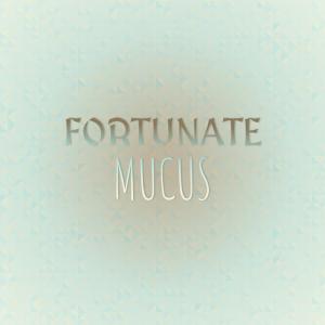 ดาวน์โหลดและฟังเพลง Fortunate Mucus พร้อมเนื้อเพลงจาก Wilo Roter