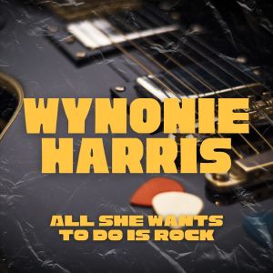 Dengarkan lagu All She Wants To Do Is Rock nyanyian Wynonie Harris dengan lirik