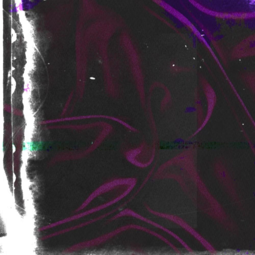 DON'T TRUST U (Explicit)