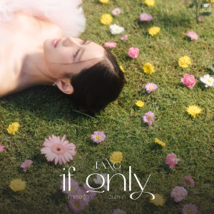 อัลบัม ถ้าเธอรู้ว่าฉันเหงา (if only) ศิลปิน FANG