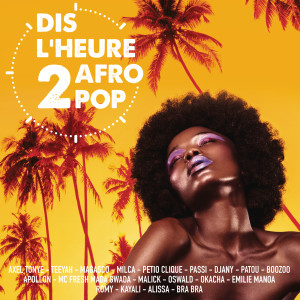 ดาวน์โหลดและฟังเพลง N'importe où (Dis l'heure 2 Afro Pop) พร้อมเนื้อเพลงจาก Petio Clique
