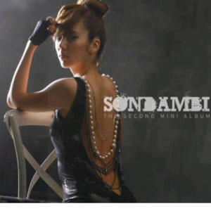 Album Son Dam Bi Mini Album vol. 2 oleh 孙丹菲