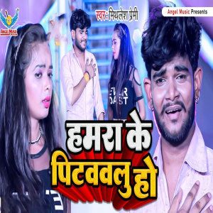 Album Hamra Ke Pitawalu Ho from Mithlesh Premi