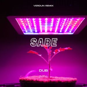 Album Sabe (Dub Mix) oleh Verdun Remix