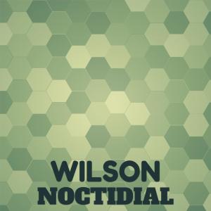 Listen to Wilson Noctidial song with lyrics from Chie Soufa