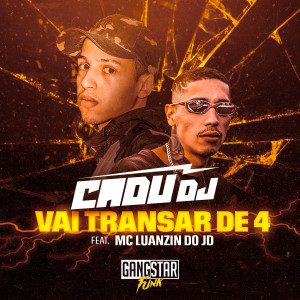 Listen to Vai Transar De 4 (Explicit) song with lyrics from Cadu DJ