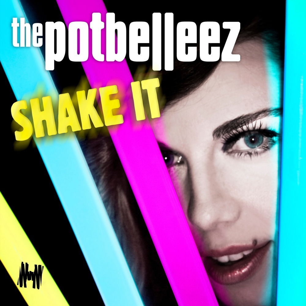 Shake It (Rob Pix Make You Sweat Dub)
