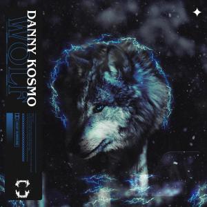 ดาวน์โหลดและฟังเพลง Wolf พร้อมเนื้อเพลงจาก Danny Kosmo