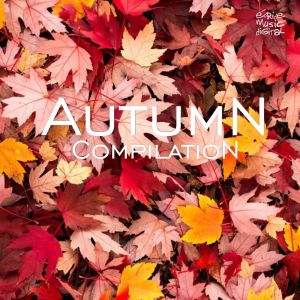 Album Autumn Compilation from Various