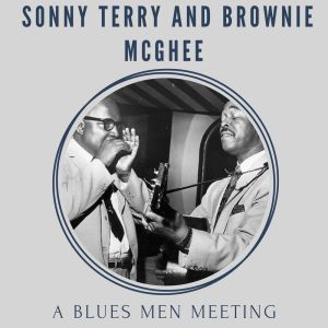 Dengarkan Just Rode In Your Town lagu dari Sonny Terry dengan lirik