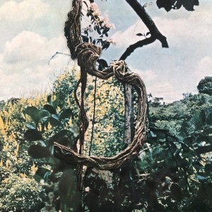 Listen to 5,000 Feet Under the Surface (2024 Remaster) song with lyrics from Celer