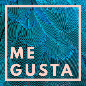 อัลบัม Me Gusta ศิลปิน Alegra