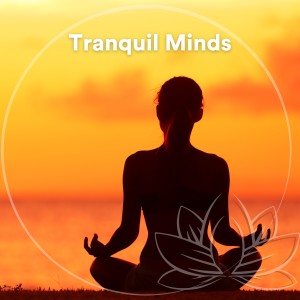 Album Tranquil Minds (Ambient New Age Music) from Ambient Relaxation