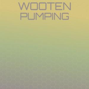 Various的专辑Wooten Pumping