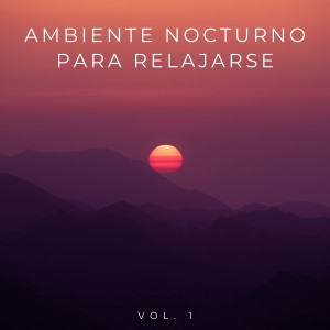 Música Relajante Para Leer的专辑Ambiente Nocturno Para Relajarse Vol. 1