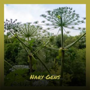 收听Vered Dete的Nary Gens歌词歌曲