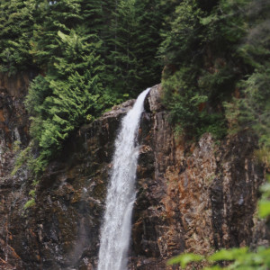 Listen to Zen Forest song with lyrics from SPA