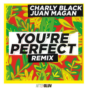 ดาวน์โหลดและฟังเพลง You're Perfect (Remix) พร้อมเนื้อเพลงจาก Charly Black